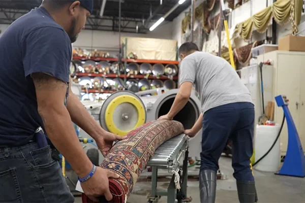 Loading rug into centrifuge for water extraction