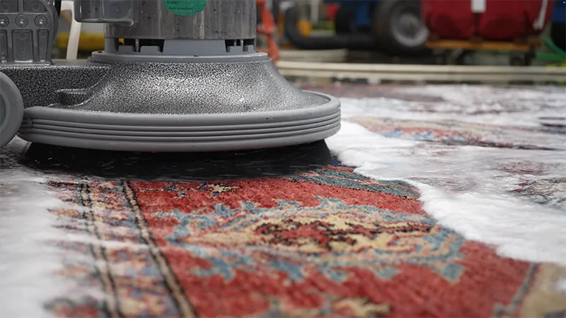 Professional rug cleaning with scrubber
